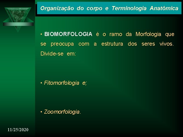 Organização do corpo e Terminologia Anatômica • BIOMORFOLOGIA é o ramo da Morfologia que