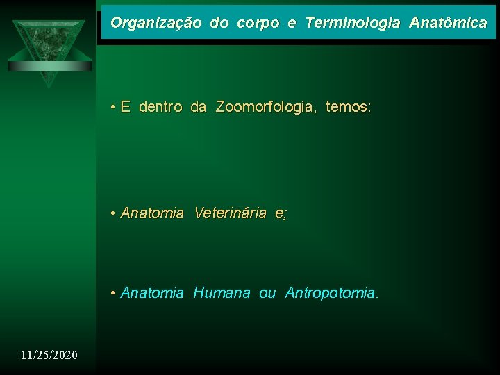 Organização do corpo e Terminologia Anatômica • E dentro da Zoomorfologia, temos: • Anatomia