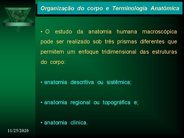 Organização do corpo e Terminologia Anatômica • O estudo da anatomia humana macroscópica pode