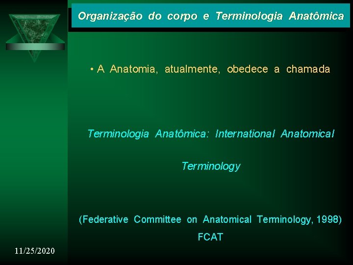 Organização do corpo e Terminologia Anatômica • A Anatomia, atualmente, obedece a chamada Terminologia
