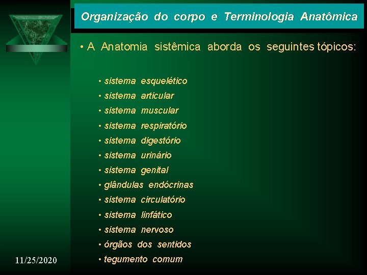 Organização do corpo e Terminologia Anatômica • A Anatomia sistêmica aborda os seguintes tópicos: