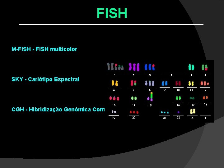FISH Variantes da FISH: M-FISH - FISH multicolor SKY - Cariótipo Espectral CGH - FISH Variantes da FISH: M-FISH - FISH multicolor SKY - Cariótipo Espectral CGH -