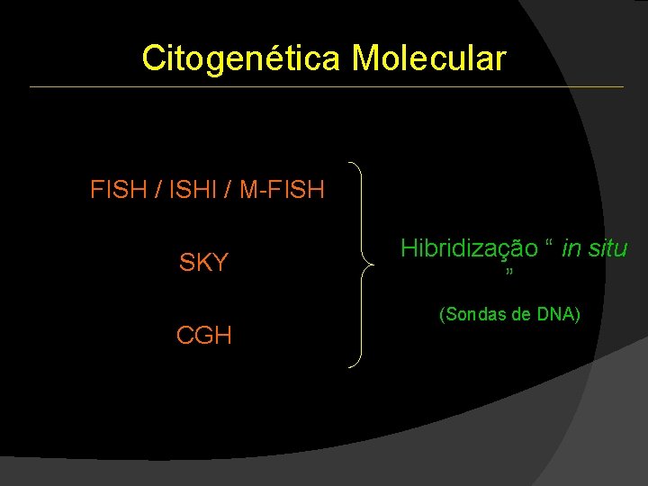 Citogenética Molecular FISH / ISHI / M-FISH SKY CGH Hibridização “ in situ ” Citogenética Molecular FISH / ISHI / M-FISH SKY CGH Hibridização “ in situ ”