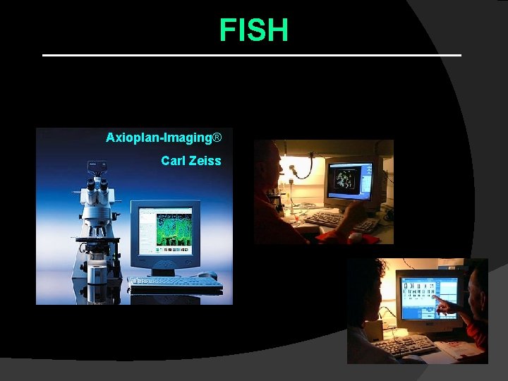 FISH Análise das Imagens Axioplan-Imaging® Carl Zeiss Software ISIS® Metasystems FISH Análise das Imagens Axioplan-Imaging® Carl Zeiss Software ISIS® Metasystems