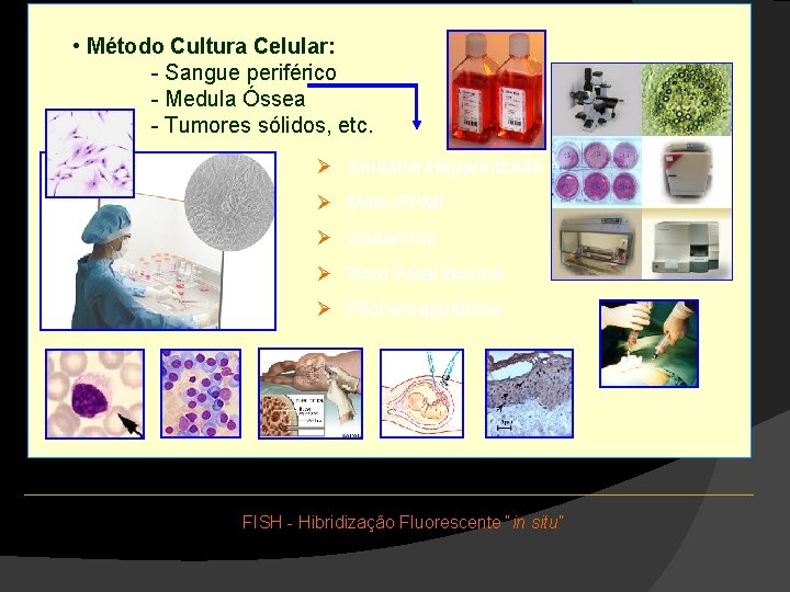 • Método Cultura Celular: FISH - Fluorescent “in situ” hybridization - Sangue periférico • Método Cultura Celular: FISH - Fluorescent “in situ” hybridization - Sangue periférico