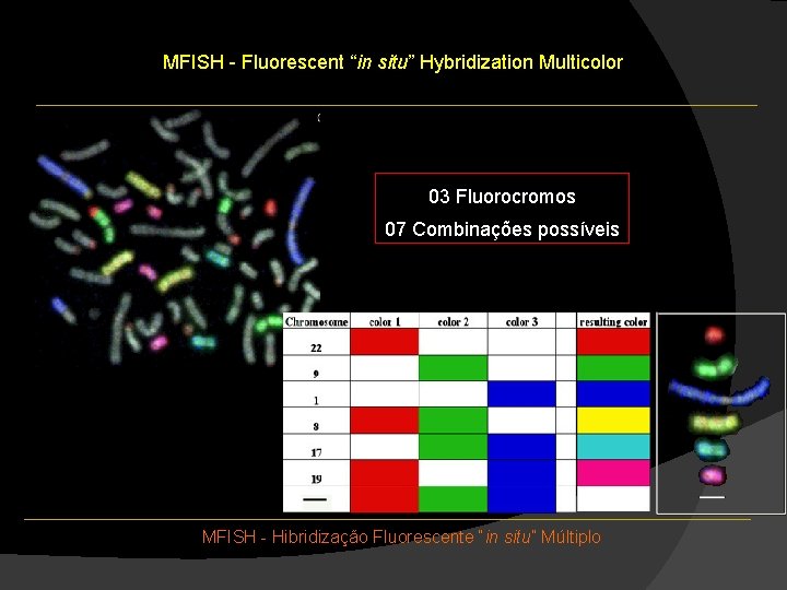 MFISH - Fluorescent “in situ” Hybridization Multicolor 03 Fluorocromos 07 Combinações possíveis MFISH - MFISH - Fluorescent “in situ” Hybridization Multicolor 03 Fluorocromos 07 Combinações possíveis MFISH -