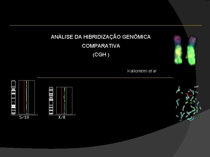 ANÁLISE DA HIBRIDIZAÇÃO GENÔMICA COMPARATIVA (CGH ) Kallioniemi et al, 1992 ANÁLISE DA HIBRIDIZAÇÃO GENÔMICA COMPARATIVA (CGH ) Kallioniemi et al, 1992