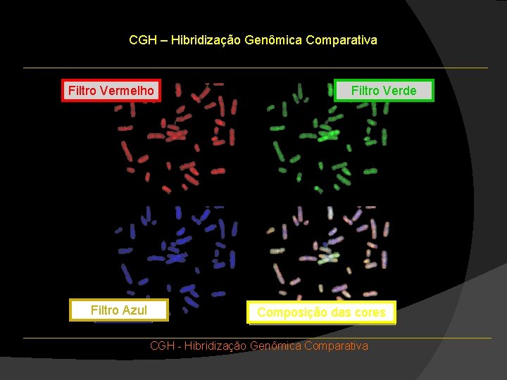 CGH – Hibridização Genômica Comparativa Filtro Vermelho Filtro Azul Filtro Verde Composição das cores CGH – Hibridização Genômica Comparativa Filtro Vermelho Filtro Azul Filtro Verde Composição das cores
