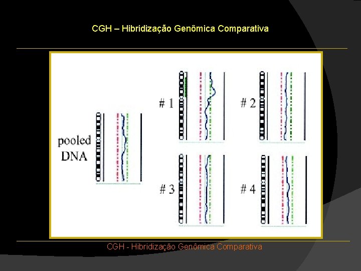 CGH – Hibridização Genômica Comparativa CGH - Hibridização Genômica Comparativa CGH – Hibridização Genômica Comparativa CGH - Hibridização Genômica Comparativa