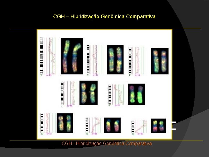 CGH – Hibridização Genômica Comparativa CGH - Hibridização Genômica Comparativa CGH – Hibridização Genômica Comparativa CGH - Hibridização Genômica Comparativa