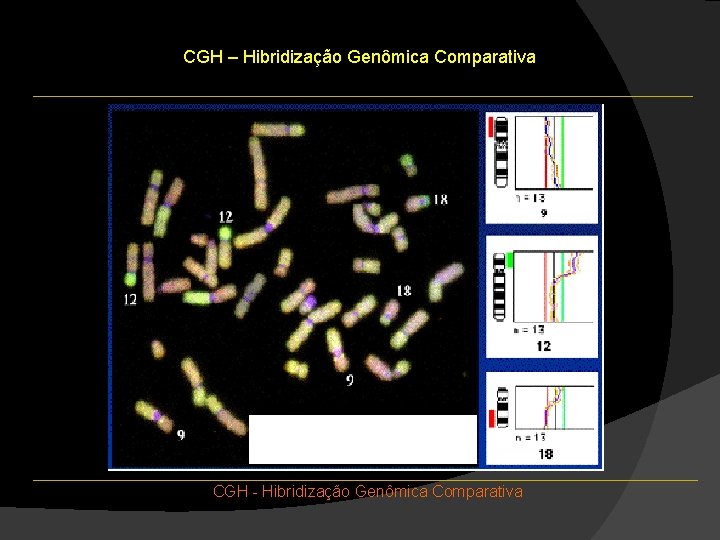 CGH – Hibridização Genômica Comparativa CGH - Hibridização Genômica Comparativa CGH – Hibridização Genômica Comparativa CGH - Hibridização Genômica Comparativa