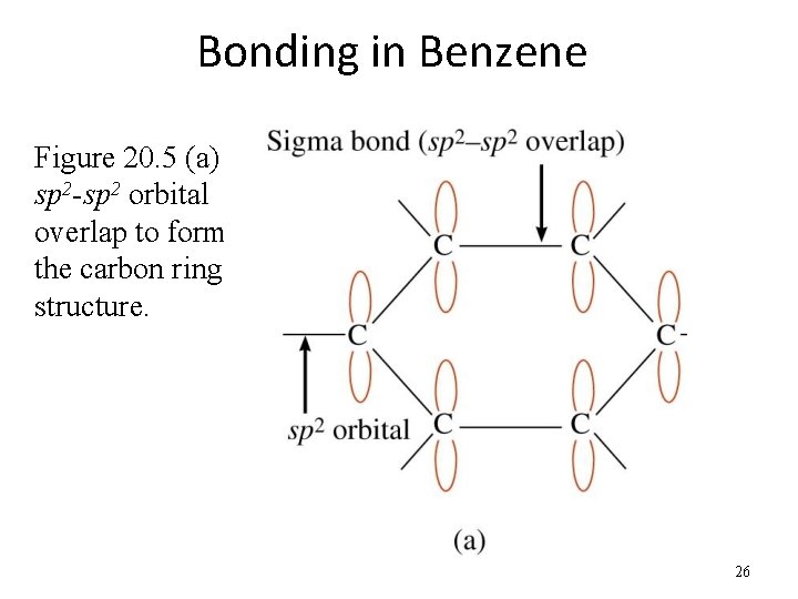 Bonding in Benzene Figure 20. 5 (a) sp 2 -sp 2 orbital overlap to