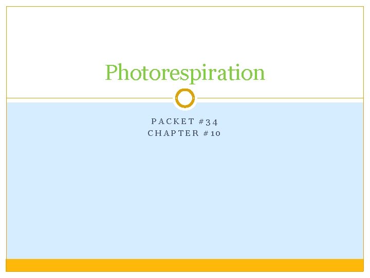 Photorespiration PACKET #34 CHAPTER #10 