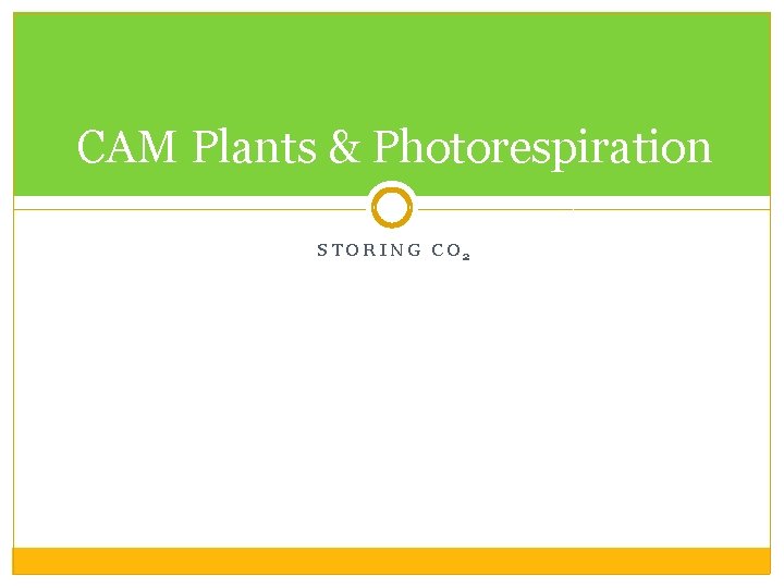 CAM Plants & Photorespiration STORING CO 2 