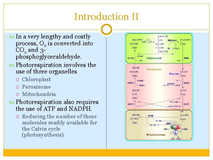 Introduction II In a very lengthy and costly process, O 2 is converted into