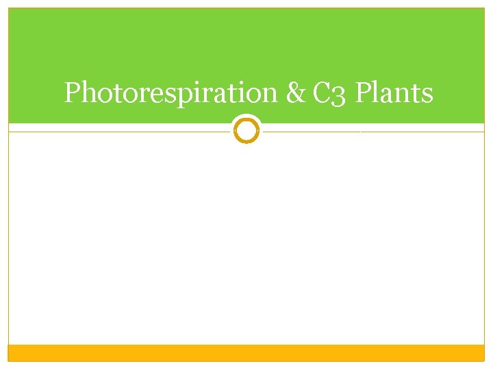 Photorespiration & C 3 Plants 