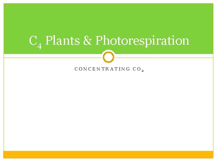 C 4 Plants & Photorespiration CONCENTRATING CO 2 