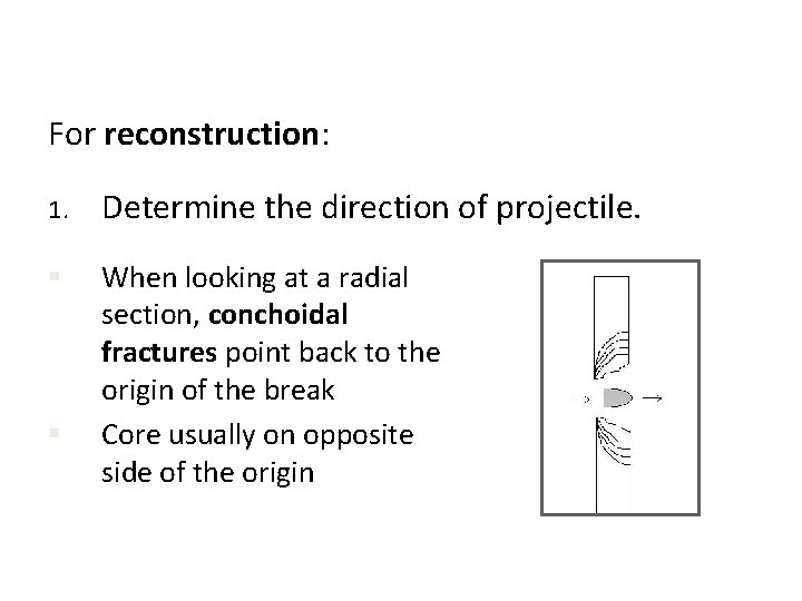 For reconstruction: 1. Determine the direction of projectile. § When looking at a radial