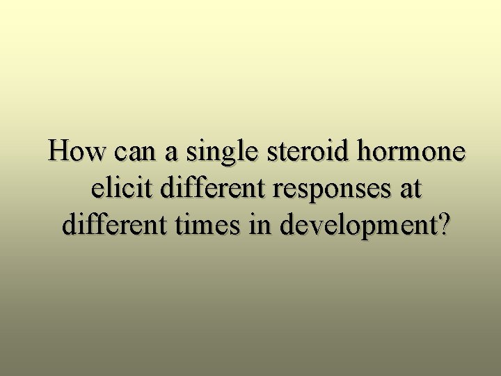 How can a single steroid hormone elicit different responses at different times in development?