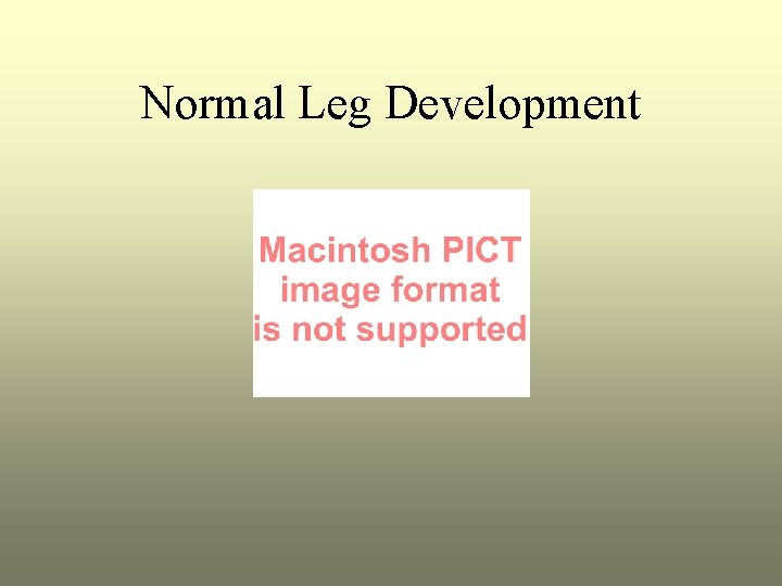 Normal Leg Development 