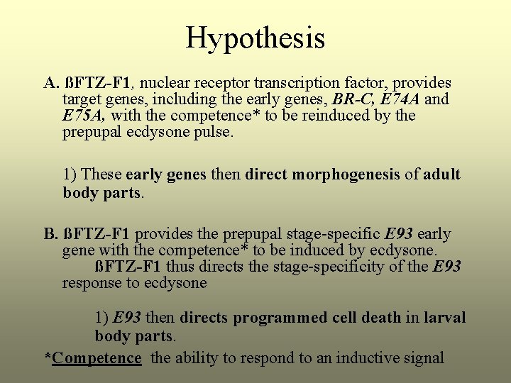 Hypothesis A. ßFTZ-F 1, nuclear receptor transcription factor, provides target genes, including the early