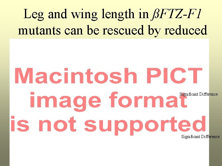 Leg and wing length in ßFTZ-F 1 mutants can be rescued by reduced external