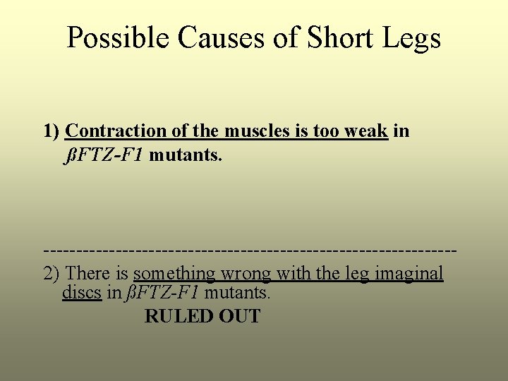 Possible Causes of Short Legs 1) Contraction of the muscles is too weak in