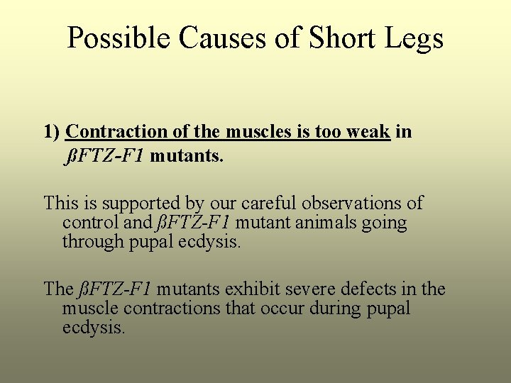 Possible Causes of Short Legs 1) Contraction of the muscles is too weak in