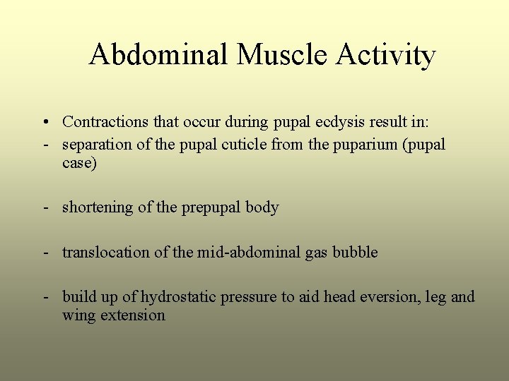 Abdominal Muscle Activity • Contractions that occur during pupal ecdysis result in: - separation