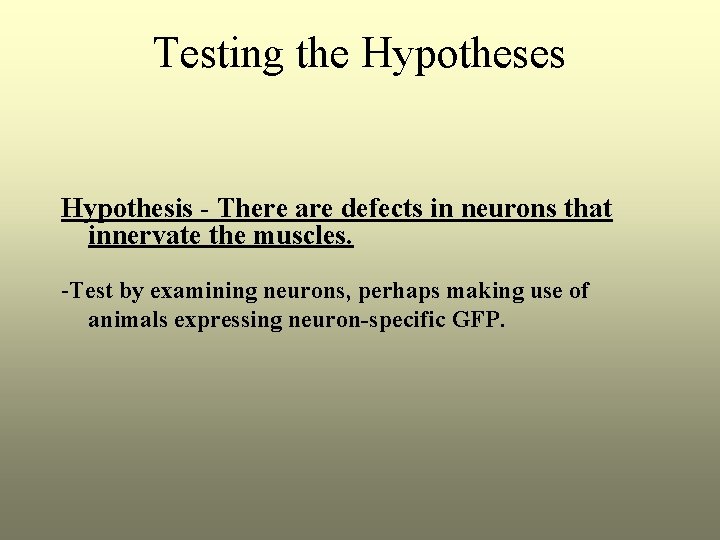 Testing the Hypotheses Hypothesis - There are defects in neurons that innervate the muscles.