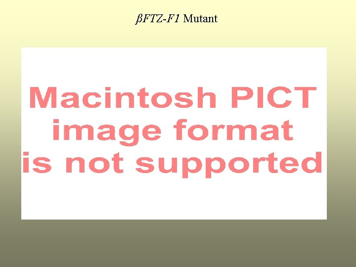 ßFTZ-F 1 Mutant 