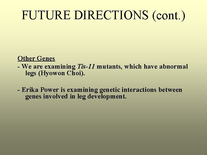 FUTURE DIRECTIONS (cont. ) Other Genes - We are examining Tis-11 mutants, which have