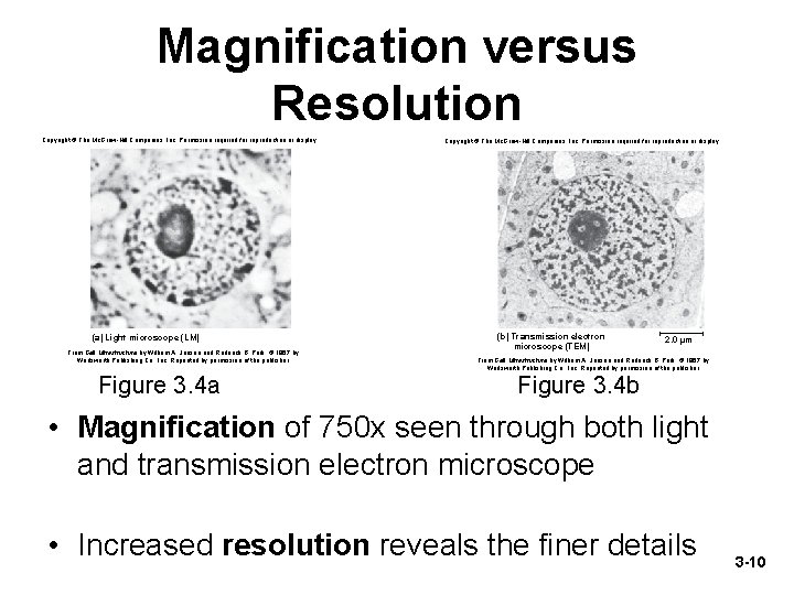 Magnification versus Resolution Copyright © The Mc. Graw-Hill Companies, Inc. Permission required for reproduction