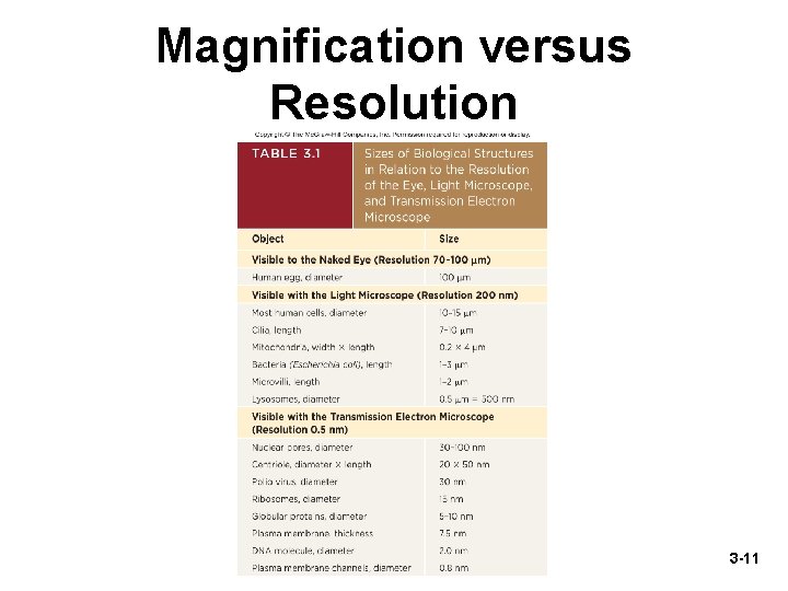 Magnification versus Resolution 3 -11 