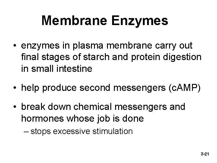 Membrane Enzymes • enzymes in plasma membrane carry out final stages of starch and