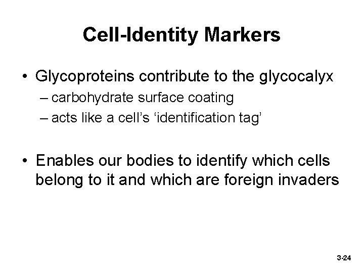 Cell-Identity Markers • Glycoproteins contribute to the glycocalyx – carbohydrate surface coating – acts