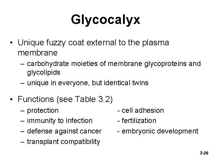 Glycocalyx • Unique fuzzy coat external to the plasma membrane – carbohydrate moieties of