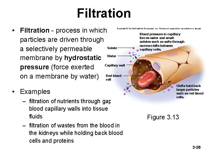 Filtration • Filtration - process in which particles are driven through Solute a selectively