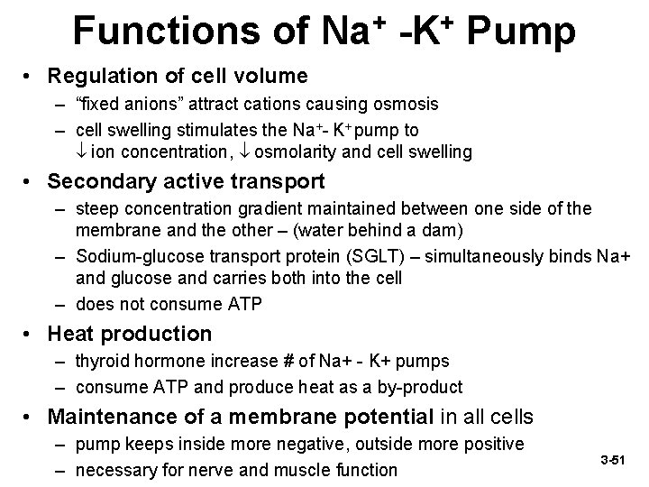 Functions of + Na + -K Pump • Regulation of cell volume – “fixed