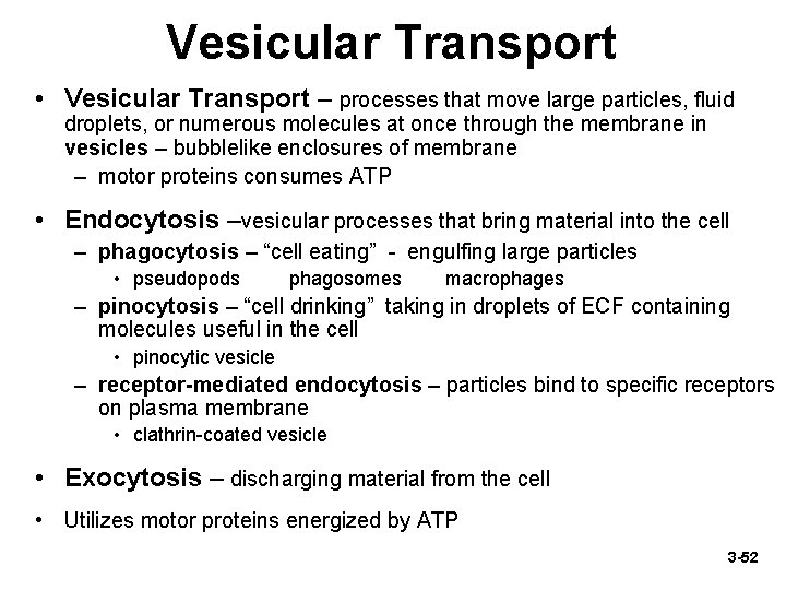 Vesicular Transport • Vesicular Transport – processes that move large particles, fluid droplets, or