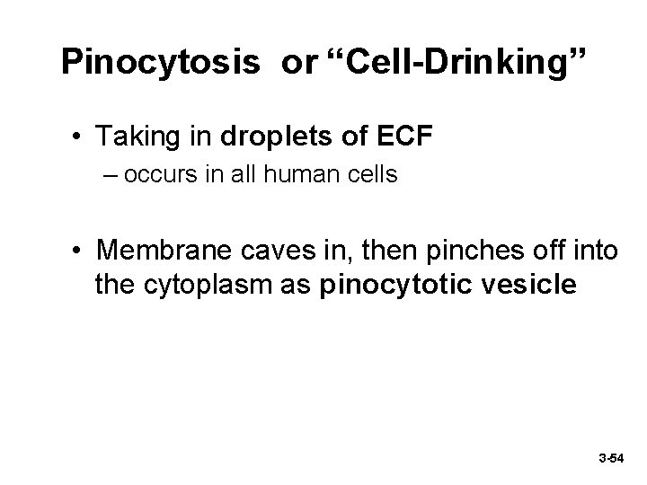 Pinocytosis or “Cell-Drinking” • Taking in droplets of ECF – occurs in all human