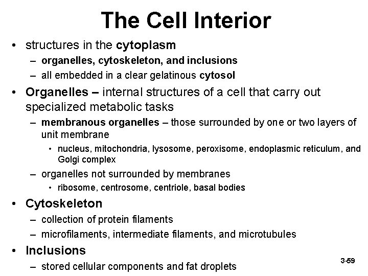 The Cell Interior • structures in the cytoplasm – organelles, cytoskeleton, and inclusions –