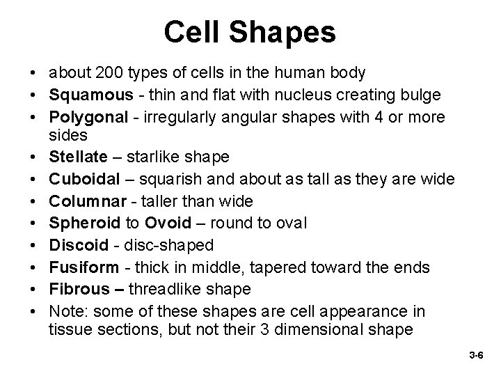 Cell Shapes • about 200 types of cells in the human body • Squamous