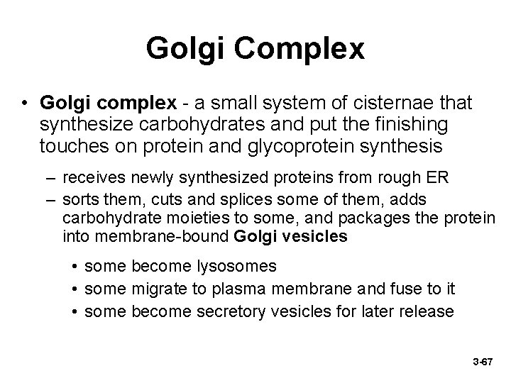 Golgi Complex • Golgi complex - a small system of cisternae that synthesize carbohydrates