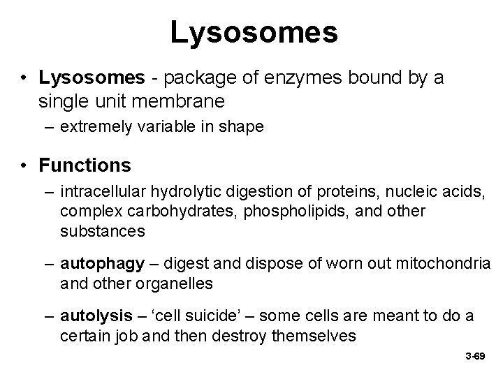 Lysosomes • Lysosomes - package of enzymes bound by a single unit membrane –