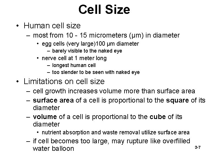 Cell Size • Human cell size – most from 10 - 15 micrometers (µm)