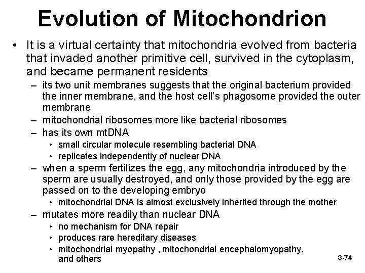 Evolution of Mitochondrion • It is a virtual certainty that mitochondria evolved from bacteria