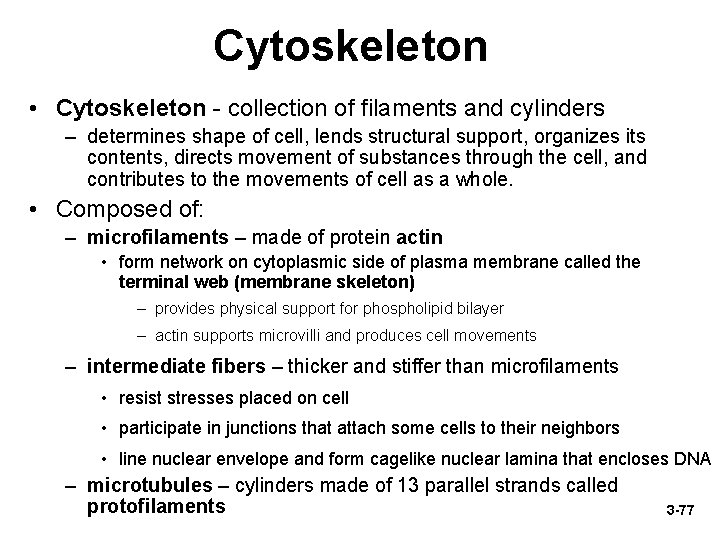 Cytoskeleton • Cytoskeleton - collection of filaments and cylinders – determines shape of cell,