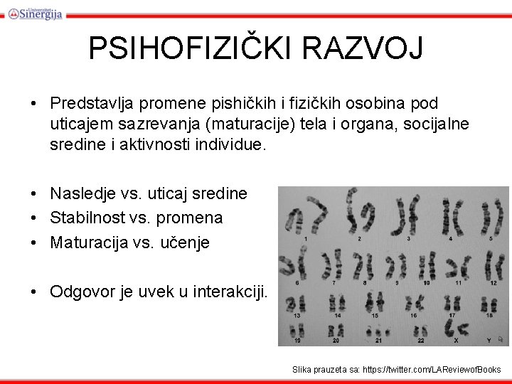 PSIHOFIZIČKI RAZVOJ • Predstavlja promene pishičkih i fizičkih osobina pod uticajem sazrevanja (maturacije) tela