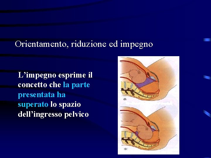 Orientamento, riduzione ed impegno L’impegno esprime il concetto che la parte presentata ha superato